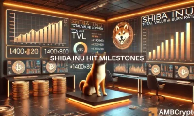 Shibarium TVL surges: Impact on Shiba Inu's burn rate, SHIB's price