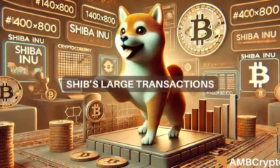 Shiba Inu makes big moves - What can spark a major price shift