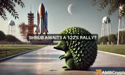 SHRUB crypto soars 5X in 7 days: Did Elon Musk's tweet spur prices?