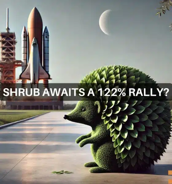 SHRUB crypto soars 5X in 7 days: Did Elon Musk's tweet spur prices?