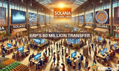 Solana on the rise: 2 factors fueling SOL's price