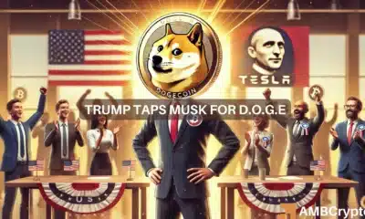 Trump taps Musk for D.O.GE