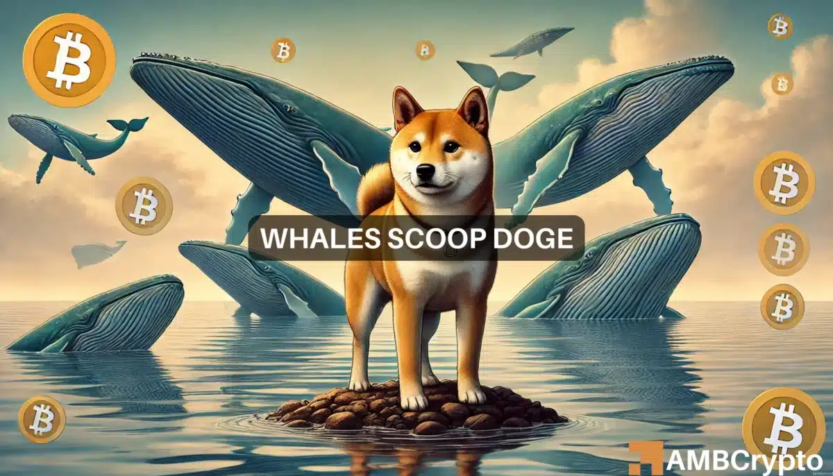 Why Dogecoin’s $56M whale accumulation might NOT help DOGE’s rally