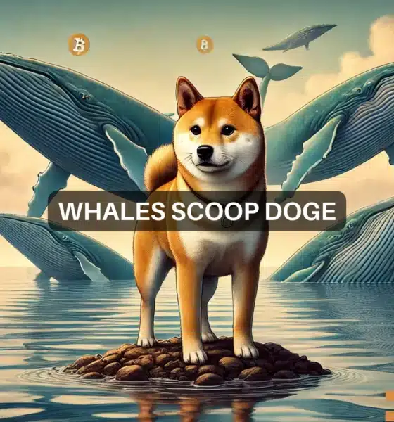 Why Dogecoin’s $56M whale accumulation might NOT help DOGE’s rally