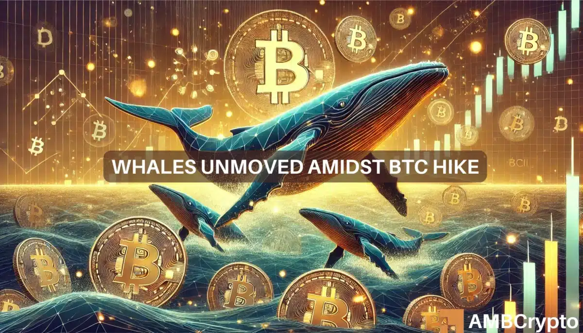 Whales unmoved amidst BTC hike