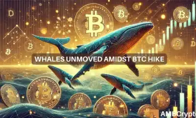 Whales unmoved amidst BTC hike