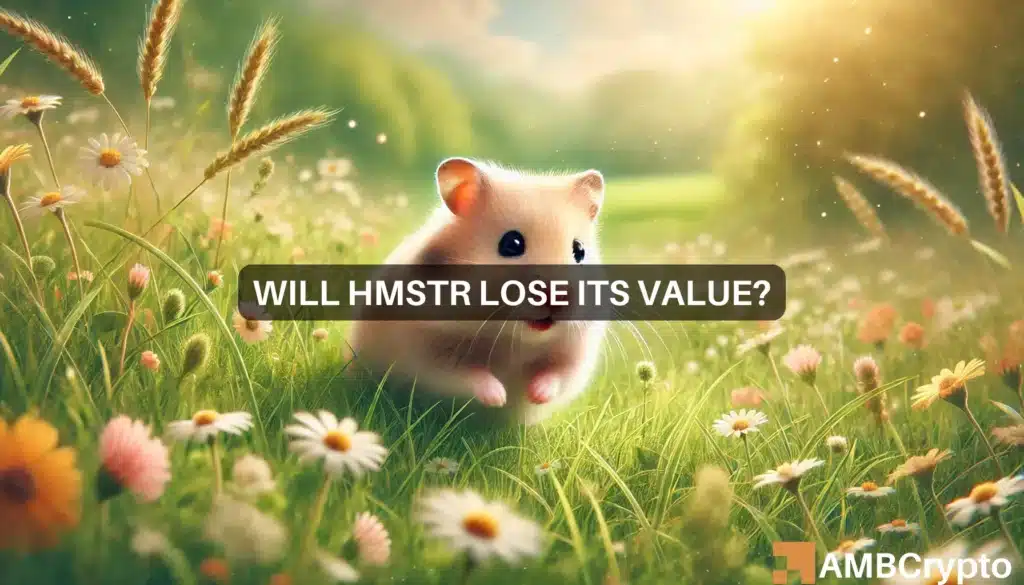 Will HMSTR lose its value?