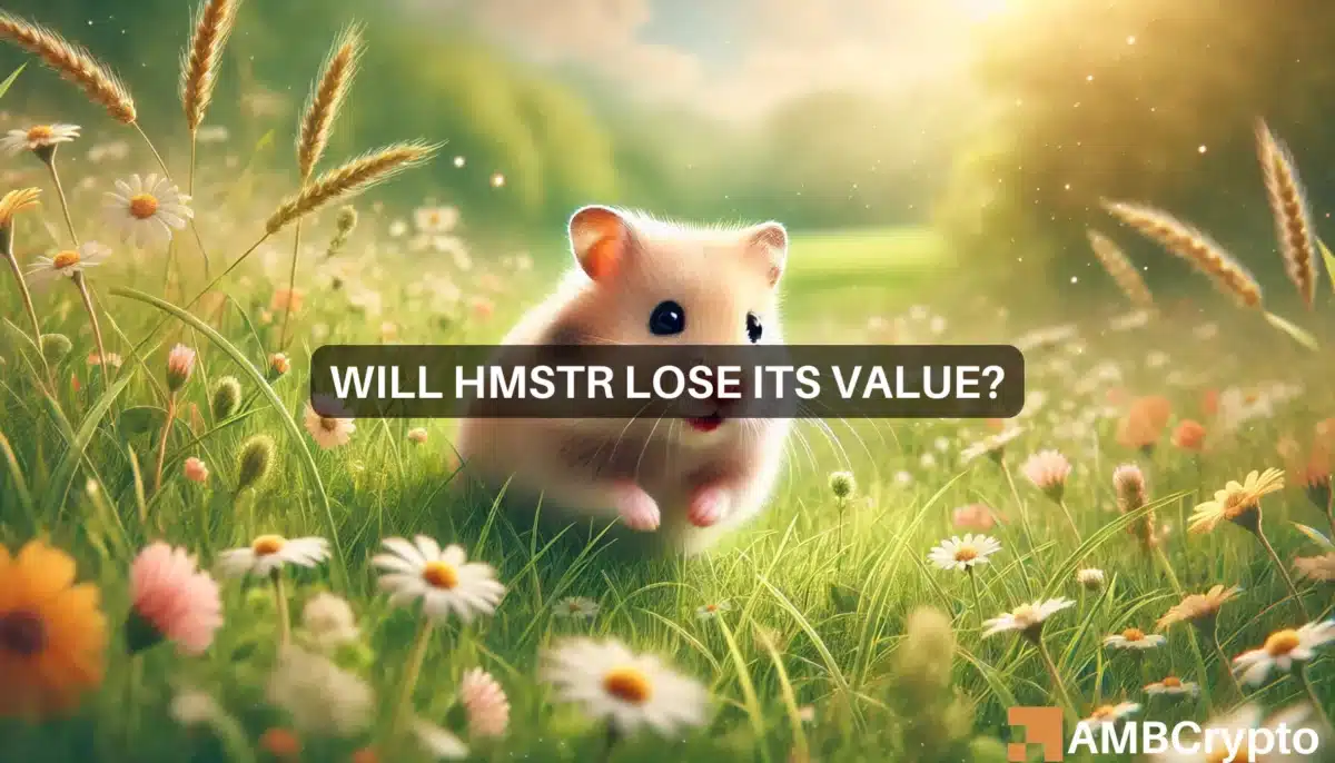 Will HMSTR lose its value?