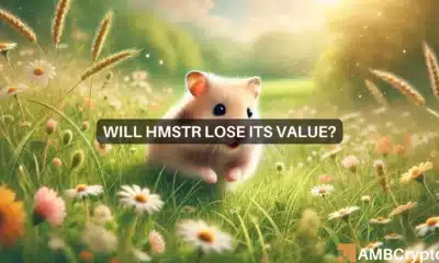 Will HMSTR lose its value?