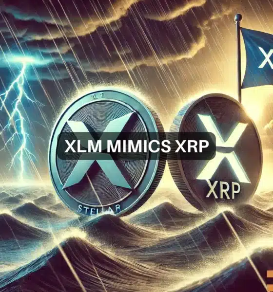 XLM crypto drops 10% in 24 hours: Is Stellar following XRP's steps?