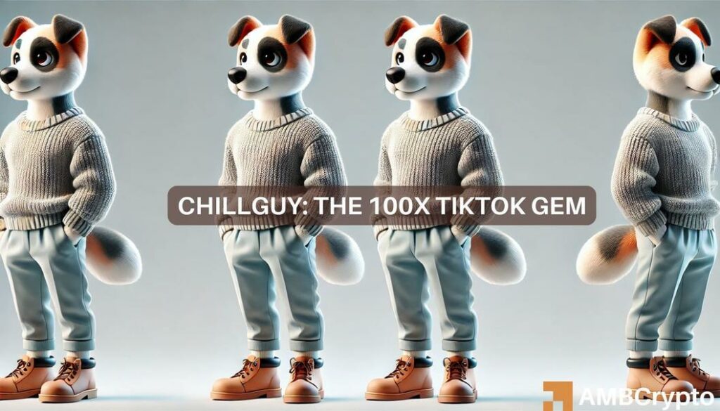 just a chill guy