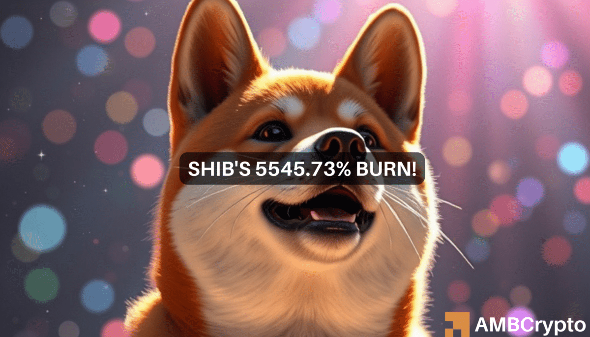 Shiba Inu burn rate soars 5545%! What it means for SHIB