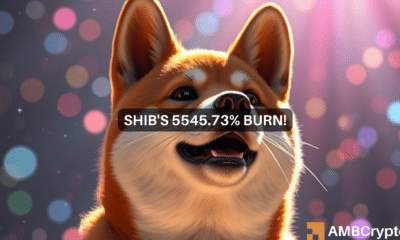 Shiba Inu burn rate soars 5545%! What it means for SHIB