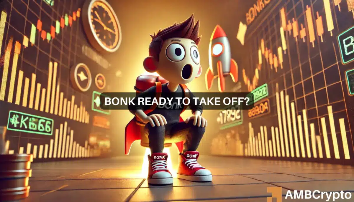 BONK poised for 240% rally? What key data suggests