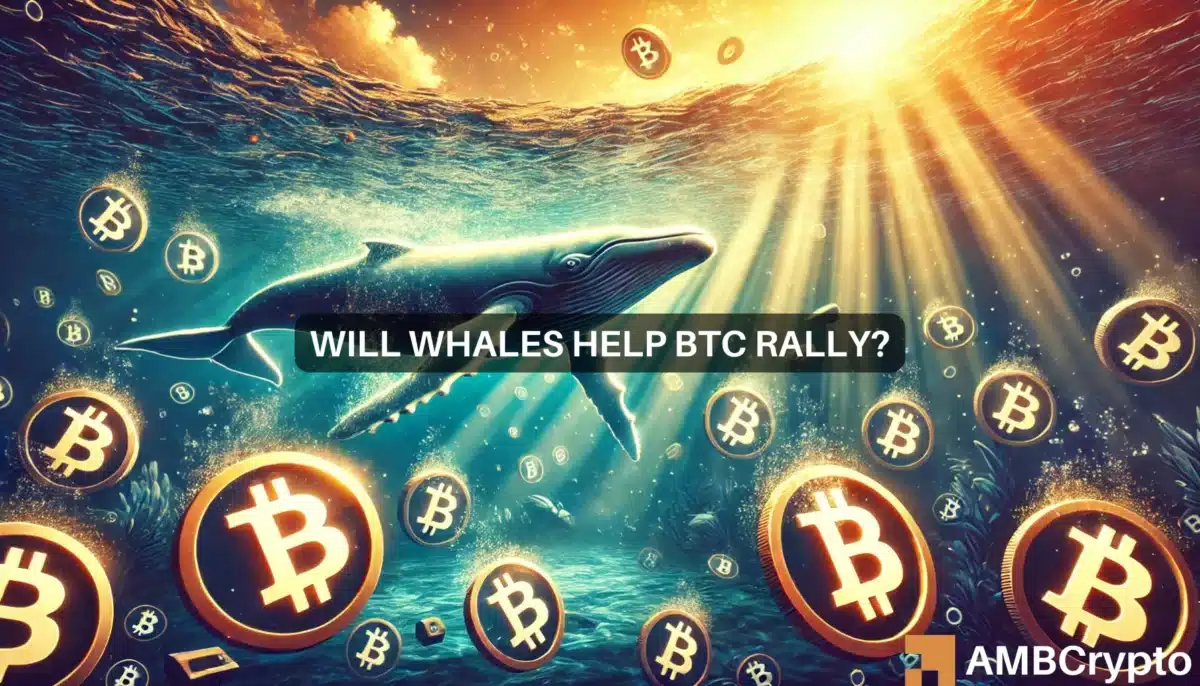 Bitcoin whales scoop up 100K BTC in a week: Sign of a continued rally?