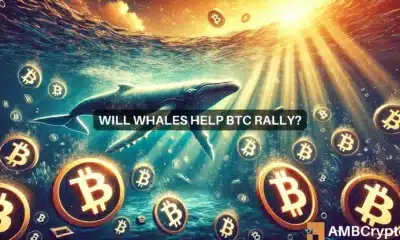 Bitcoin whales scoop up 100K BTC in a week: Sign of a continued rally?