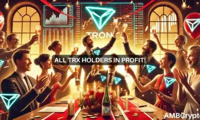 Nearly 100% Tron holders in profit: What this means for TRX