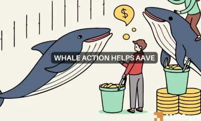 Here's how and why AAVE's whales could push altcoin to $300