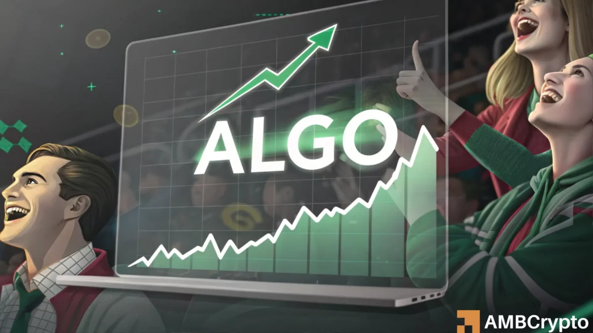 Algorand's '80% hike' - Can traders profit from ALGO and buy the dip now?