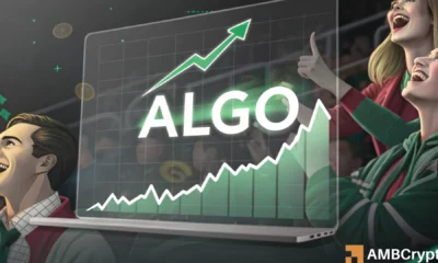 Algorand's '80% hike' - Can traders profit from ALGO and buy the dip now?