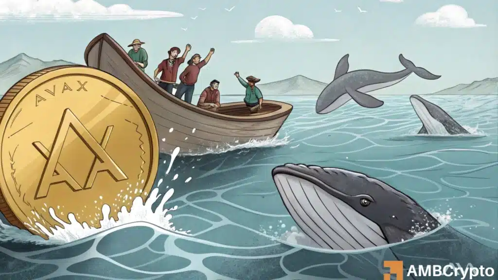 AVAX and its breakout odds - Will whales continue to have their say?