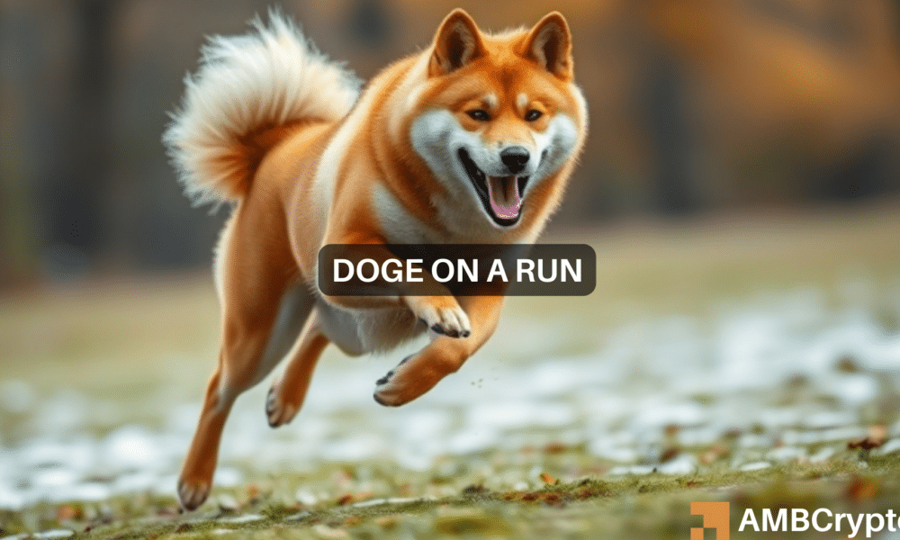 Dogecoin rides Bitcoin’s rally to set a short-term goal – Details