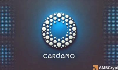 Cardano's seven-day decline: Are whales signaling a turnaround?