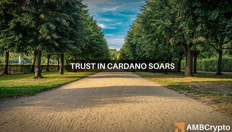 Cardano