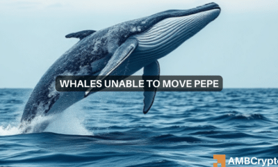 Whales scoop up PEPE worth $6.92M: Is a breakout ahead?