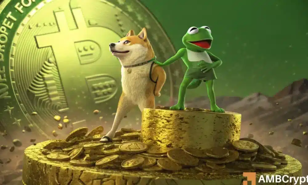 0 News Article Image Have memecoins lost their hype? Dogecoin, PEPE, and more!