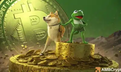 Have memecoins lost their hype? Dogecoin, PEPE, and more!