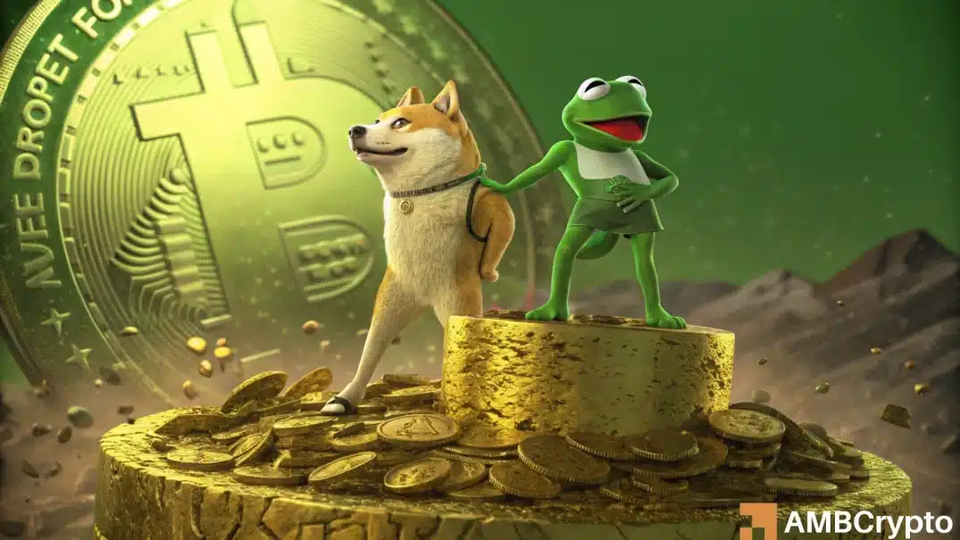 Have memecoins lost their hype? Dogecoin, PEPE, and more!