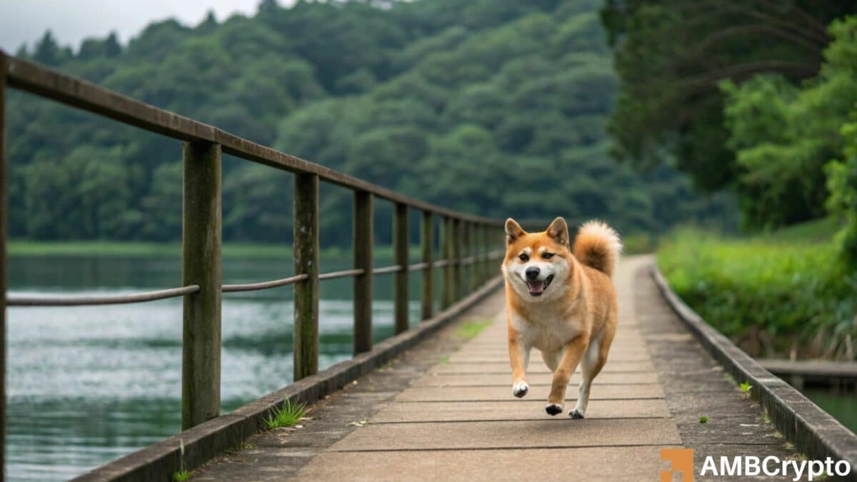 Shib