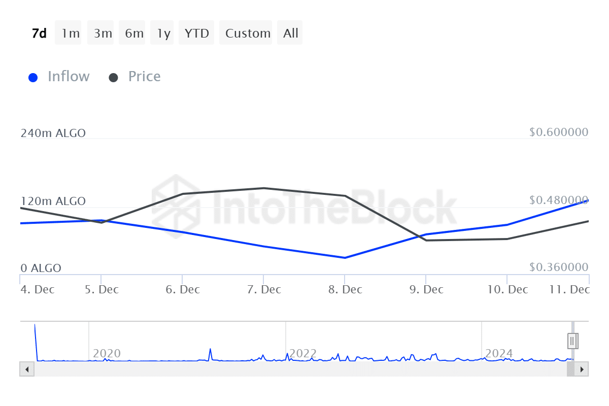 ITB algo large holders inflow algorand 2024 12 12T08 02 26.940Z