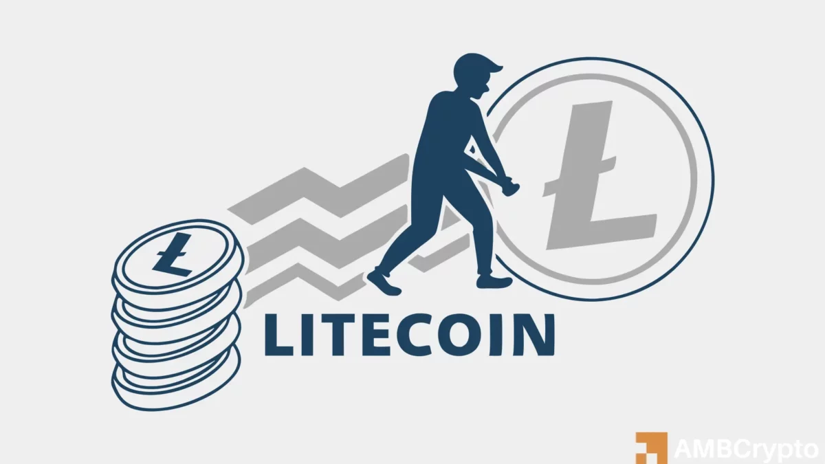 Litecoin gains momentum: Price and active addresses see significant uptick