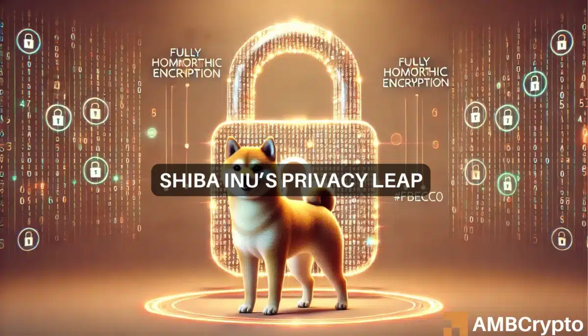 SHIB update: 620M transactions, new privacy upgrade - Impact on price?