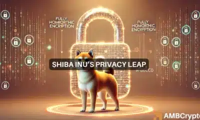 SHIB update: 620M transactions, new privacy upgrade - Impact on price?