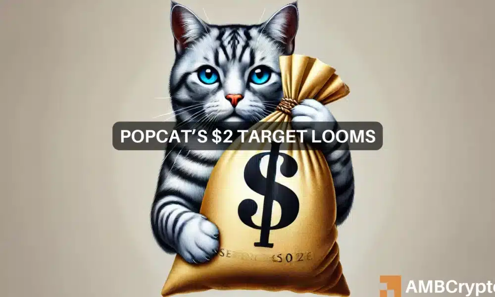 POPCAT eyes : How hypothesis over fundamentals may maintain it again