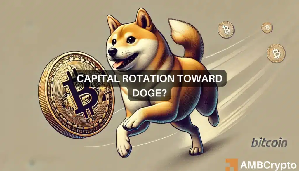 DOGE