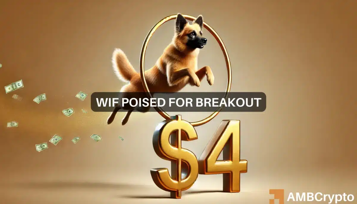 WIF’s battle with mid-caps: Here's why gaining big player loyalty is now make or break