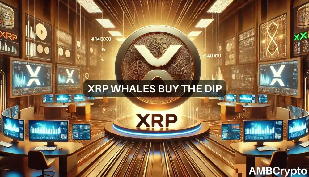 XRP Whale Activity