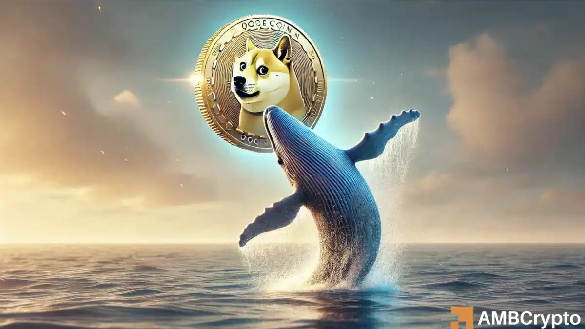 DOGE whale