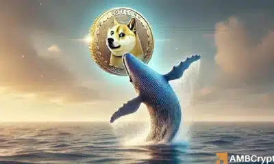 DOGE whale