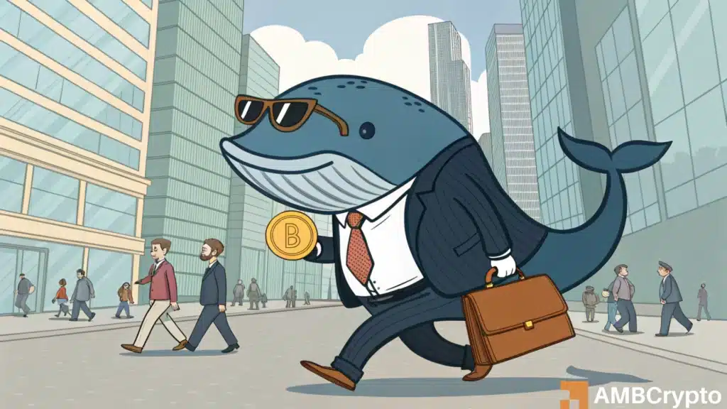 Dogecoin Whales