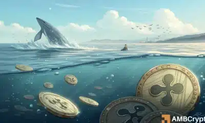 XRP whales are accumulating fast - Hinting at a massive rally ahead?