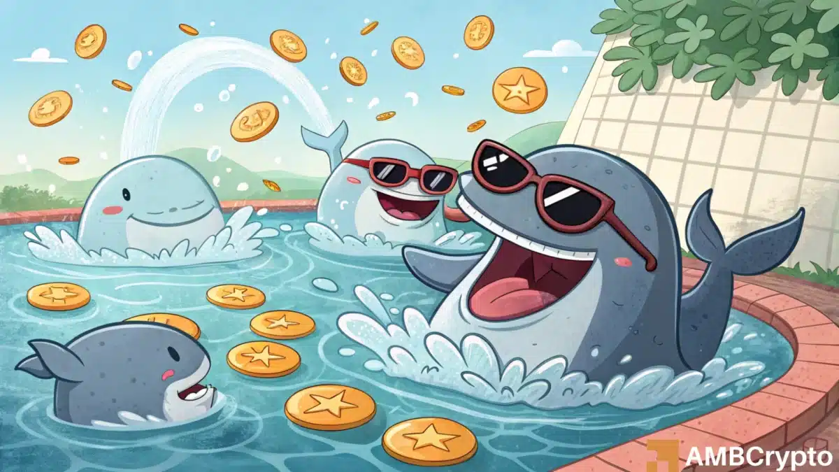 cardano whales