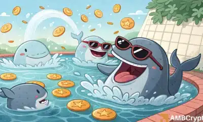 cardano whales