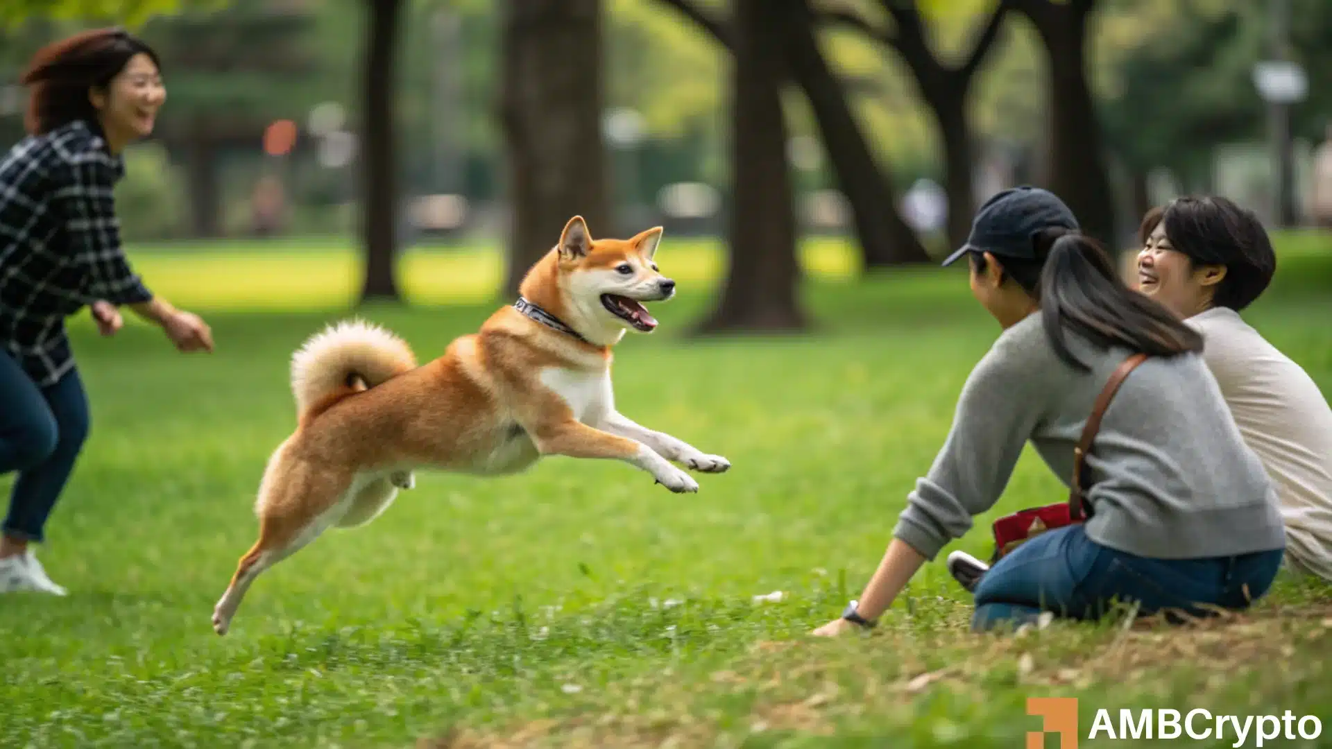 Shiba Inu's latest Metaverse move - All about 'groundbreaking' Virtual World Project!