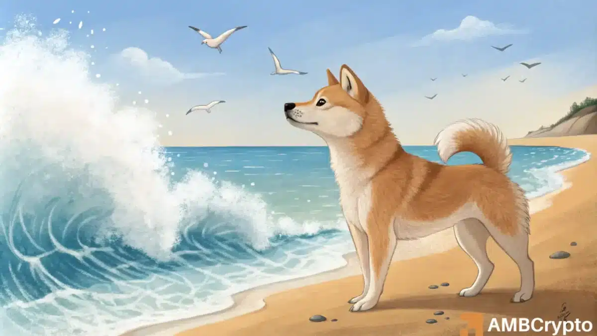 Shiba Inu sees a spike in large transactions: What it means for SHIB