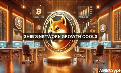 Shiba Inu's network surges: Sustained growth or temporary hype?